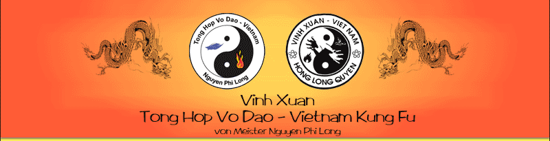 Tong Hop Vo Dao - Vietnam Kung Fu